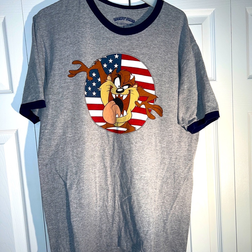 Taz Warner Bros. Looney Tunes Men’s Large T-Shirt Gray America Tazmanian Devil
